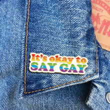 Say Gay Pin